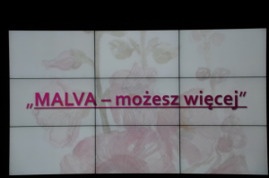 Brak opisu obrazka