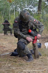 WSSE_saperzy08 (1)