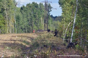 WSSE_saperzy13 (1)