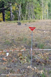 WSSE_saperzy14 (1)